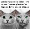6D6EB395-8BF6-4662-A344-131DE1C14E0C.jpeg