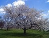 IMG_20210115_171132.jpg