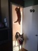 99.jpg
