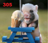 305.png