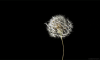 8d614b9f479c0cdc43eb23a24fbb143a.gif