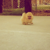 9P04.gif