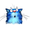 15.png