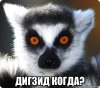 risovach.ru.jpg