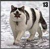 2f7b9cc286049dbeea95b15aac91cf6c.jpg