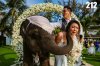 images_article_2017_01_20_1.jpg