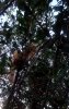 IMG_20210801_201158_205.jpg