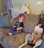 d9efcccf8af1aa25fda4c32cb834a568.jpg