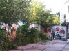 IMG_20210805_180051.jpg
