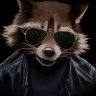 raccoonphobia