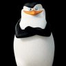 skipper
