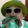 Котауси
