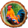Будимир