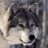 ghostwolf